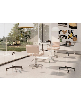 Ассистент колориста "NA0057"