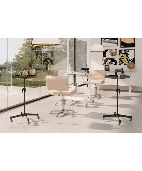 Ассистент колориста "NA0057"